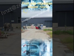 100 mm dikke koelplaten voor de bouw van koelplaatsen